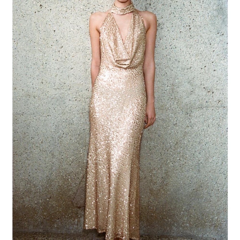 Zara Sequin Dress